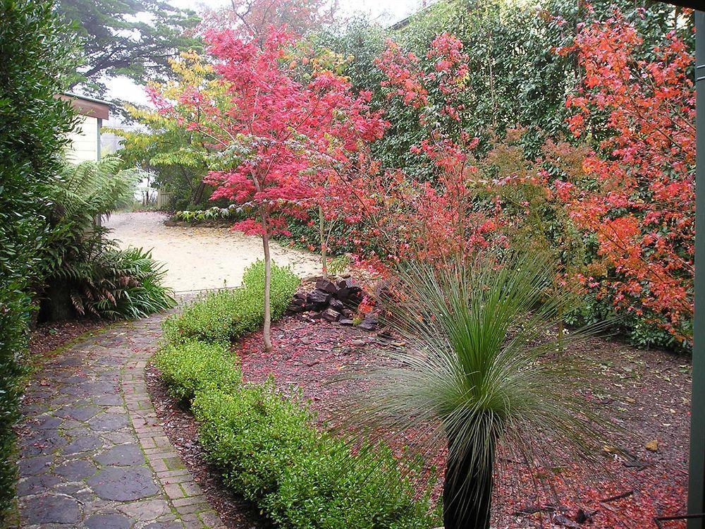 Valley Of The Waters Bed & Breakfast Wentworth Falls